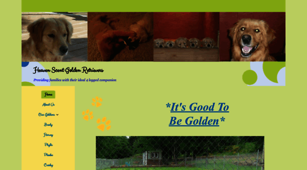 heavenscentgoldenretrievers.com