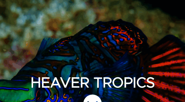 heavertropics.co.uk