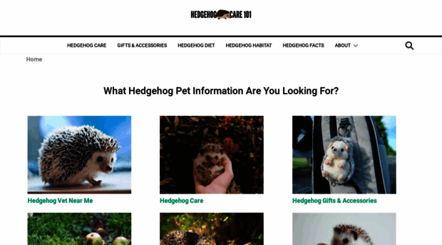 hedgehogcare101.com