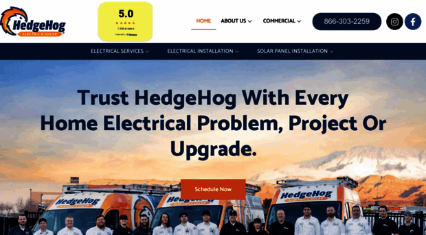hedgehogelectric.com