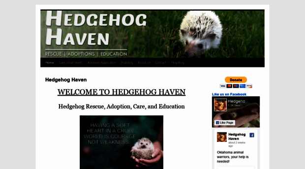 hedgehoghaven.com