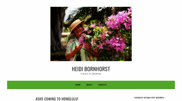 heidibornhorst.blog