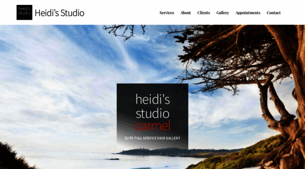 heidisstudio.com