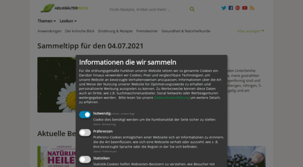 heilkraeuter-infos.de