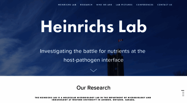 heinrichslab.com