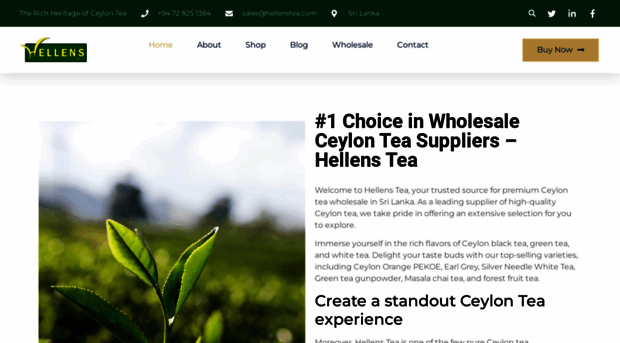 hellenstea.com