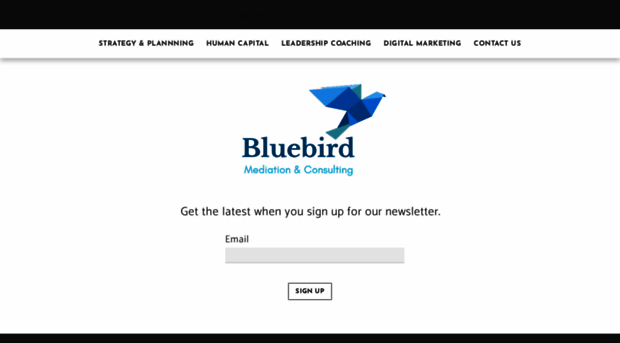 hellobluebird.org