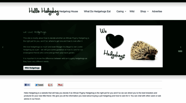 hellohedgehog.com