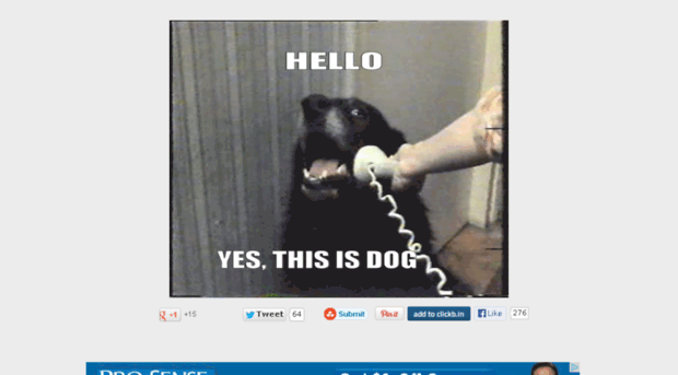 helloyesthisisdog.com