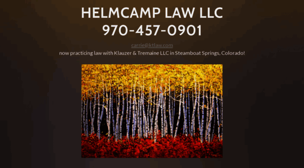 helmcamplaw.com