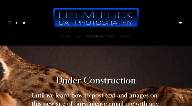 helmiflick.com