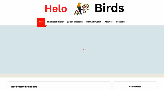 helobirds.com