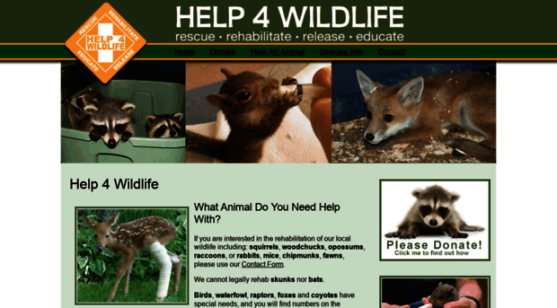 help4wildlife.com