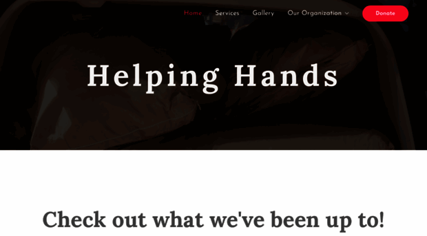 helpinghandcharity.org