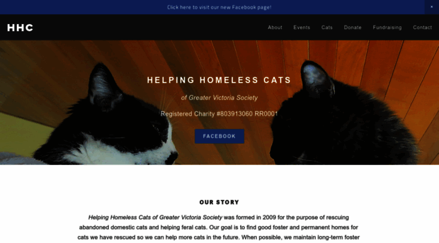 helpinghomelesscats.com