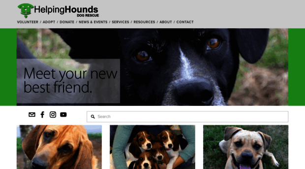 helpinghoundsdogrescue.org