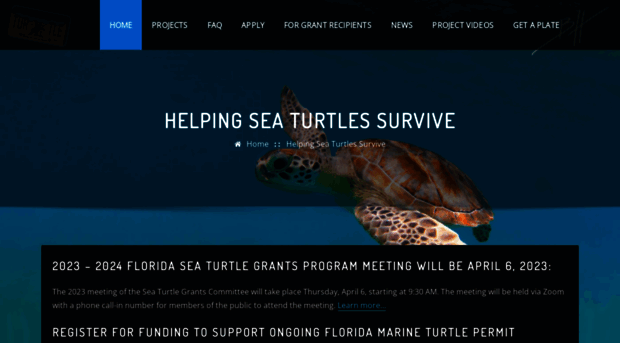 helpingseaturtles.org