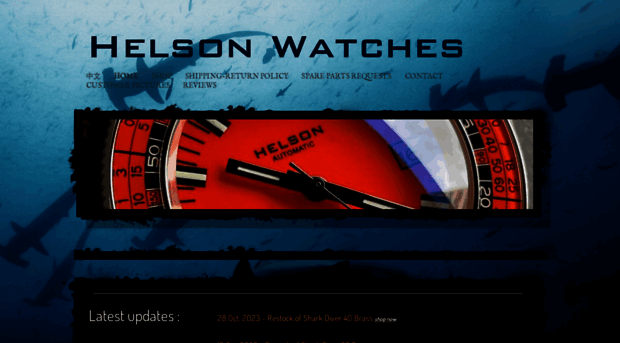 helsonwatch.com