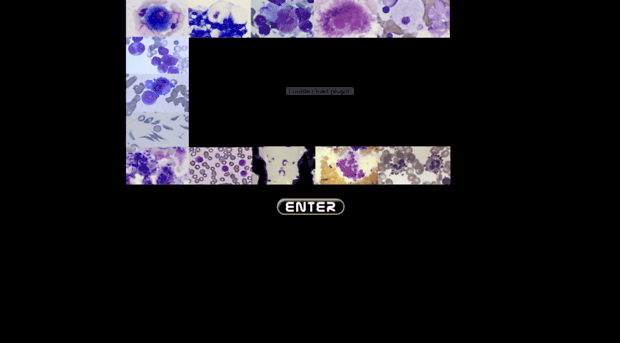 hematologyatlas.com