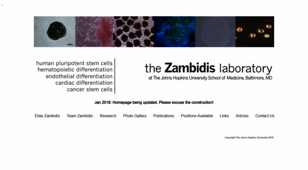 hematopoiesis.org