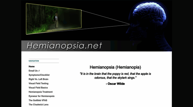 hemianopsia.net