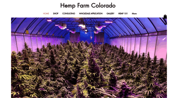 hempfarmcolorado.com