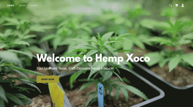 hempxoco.com