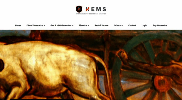 hemsbd.com