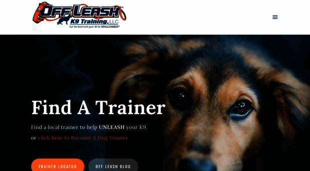 hendersondogtrainers.com