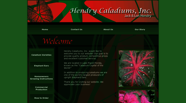hendrycaladiums.com