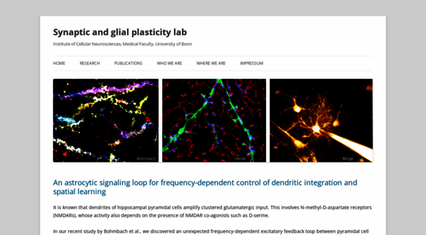 henneberger-lab.com