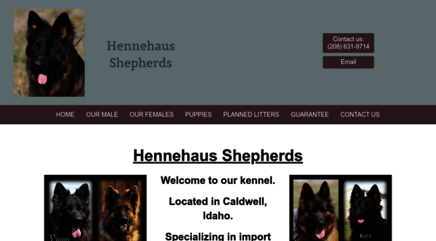 hennehausshepherds.com