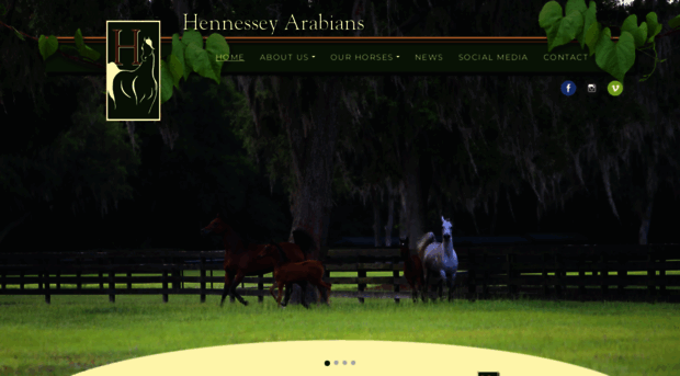 hennesseyarabians.com