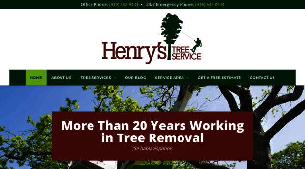 henrystreeservice.com