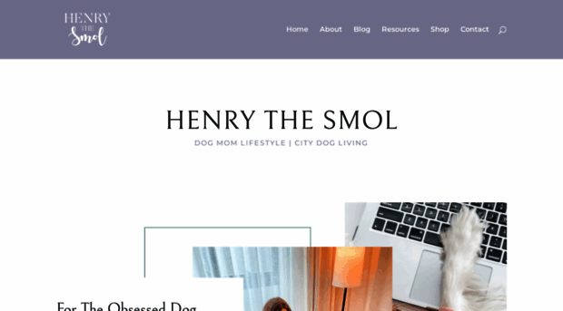 henrythesmol.com