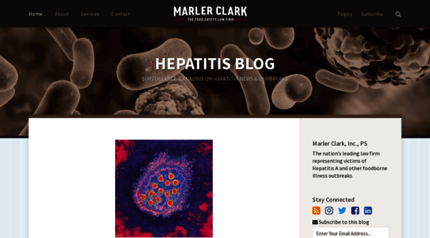 hepatitisblog.com