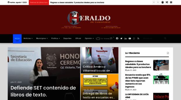 heraldodetamaulipas.com