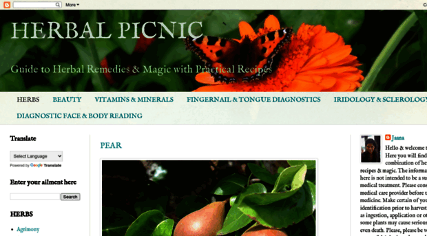 herbalpicnic.blogspot.com