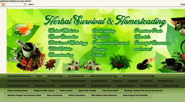 herbalsurvival.blogspot.com