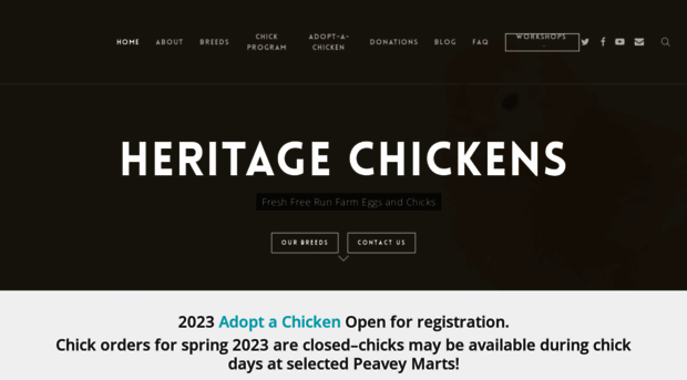 heritagechickens.ca