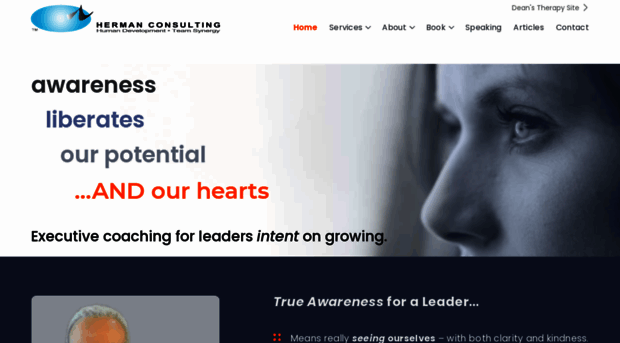 hermanconsulting.com