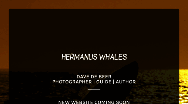 hermanuswhales.com