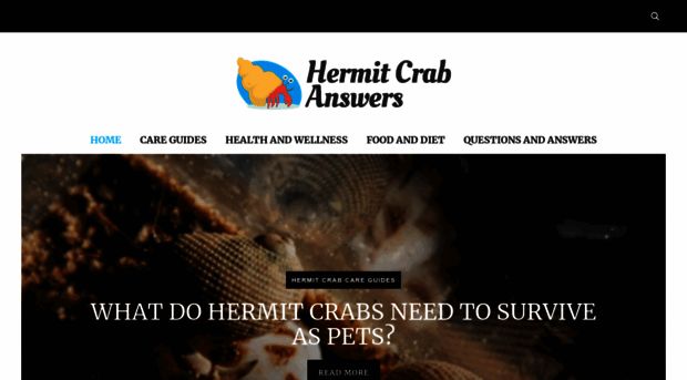 hermitcrabanswers.com