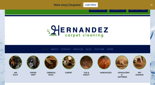 hernandezcarpetcleaning.com