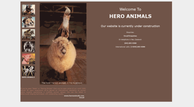 heroanimals.com