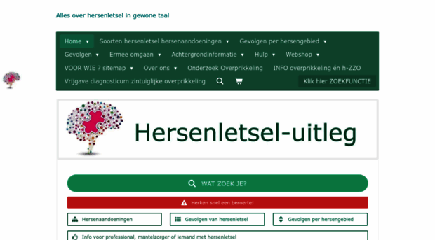 hersenletsel-uitleg.nl