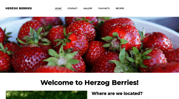 herzogberries.com