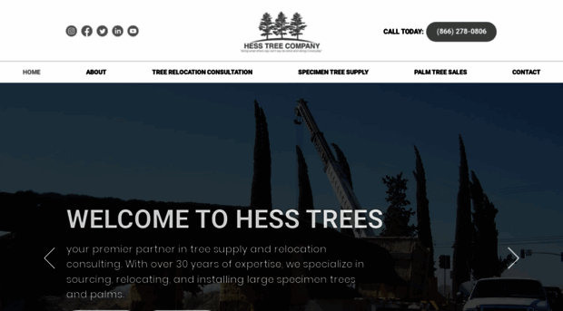 hesstrees.com