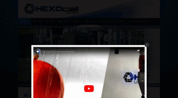 hexocell.com