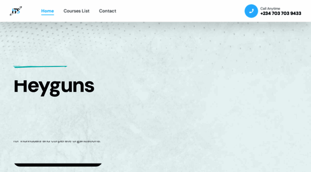 heyguns.com.ng
